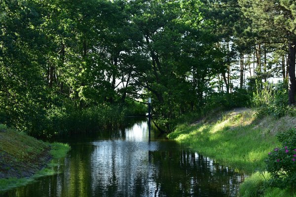 Les Secrets de Stars pour Perdre du Poids avec le Pilates : Témoignages Inspirants